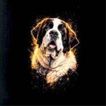 Obrázok poltón Bernardín Hlava