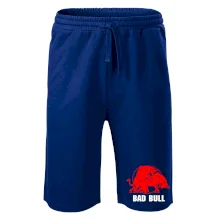 Bad Bull Bad Bull