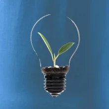 Žiarovka kvetináč