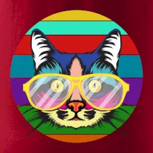 Mačka pri farebnom západe