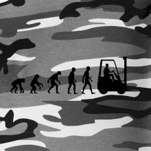 Evolúcia jašterica