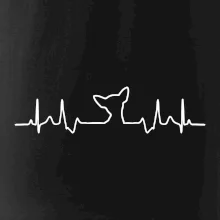 Čivava EKG Čivava EKG