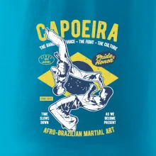 Capoeira  Afro-brazil art Capoeira  Afro-brazil art