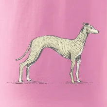 Vintage Whippet