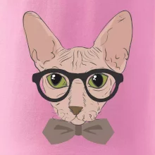 Hipster sphynx