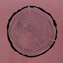 Letokruhy 50 bez veku