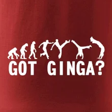 Capoeira - Got Ginga