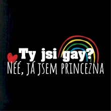 Gay princezna Gay princezna