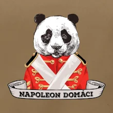 Napoleon domáci panda