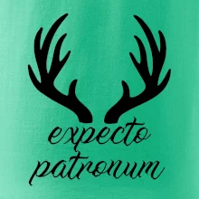 Harry - Expecto patronum Harry - Expecto patronum