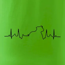 Stafordšírsky bulteriér ‎ EKG