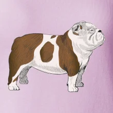 Vintage English bulldog