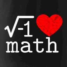I love math
