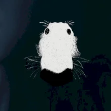 Barzoj čumák (Moňas)