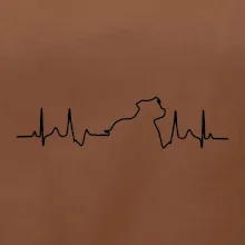 Stafordšírsky bulteriér ‎ EKG