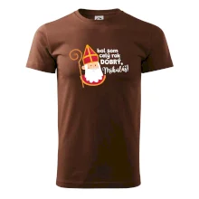 Bol som celý rok dobrý, Mikuláš!