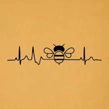 EKG včela EKG včela
