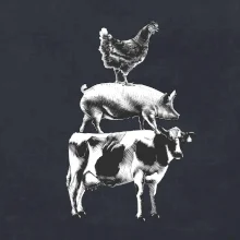 Sliepky prasa krava Sliepky prasa krava