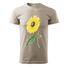 Slnečnica otočená