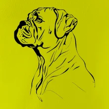 Boxer čierna kresba