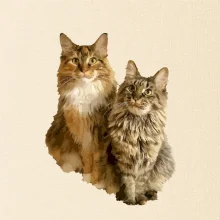 Mačky vectorizované (Moňas)