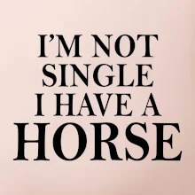 I have a horse