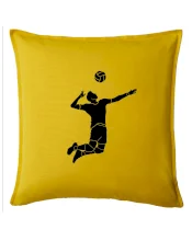 Volejbal náprah muž