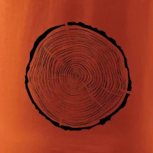 Letokruhy 40 bez veku