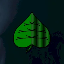 Prší - Zelený Prší - Zelený