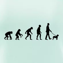 Lagotto romagnolo Evolúcia