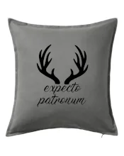 Harry - Expecto patronum Harry - Expecto patronum