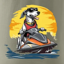 Chrt na vodnom skútri