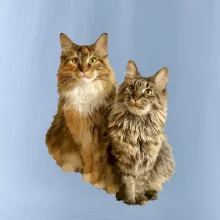 Mačky vectorizované (Moňas)