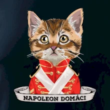 Napoleon domáci mačka Napoleon domáci mačka