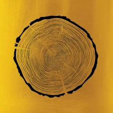 Letokruhy 85 bez veku