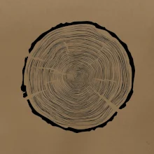 Letokruhy 100 bez veku