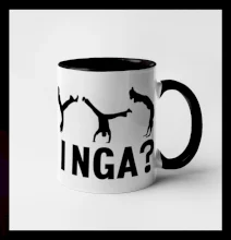 Capoeira - Got Ginga