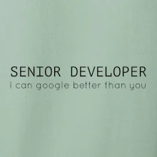 Senior developer google better than you