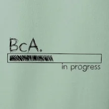 In progress titul BcA. bakalár / bakalárka umenia