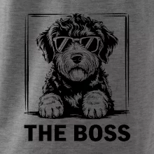 Lagotto romagnolo the boss Lagotto romagnolo the boss