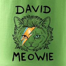 David Meowie