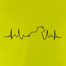 Stafordšírsky bulteriér ‎ EKG