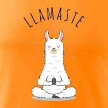 Yoga Llamaste Yoga Llamaste
