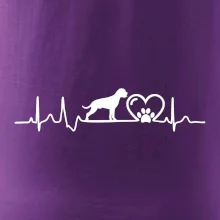 Nemecký boxer EKG Nemecký boxer EKG