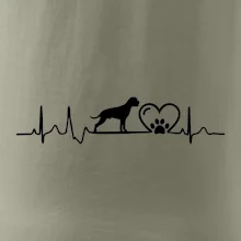 Nemecký boxer EKG