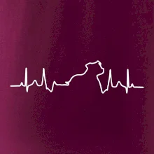 Stafordšírsky bulteriér ‎ EKG