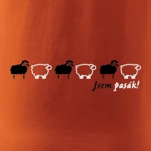 Som pasák - ovce v rade