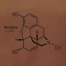 Molekulárna štruktúra Morfín