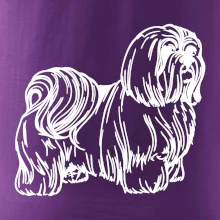 Shih-tzu - chlpatý