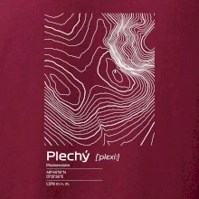 Plechý - vrstevnice v obdĺžniku